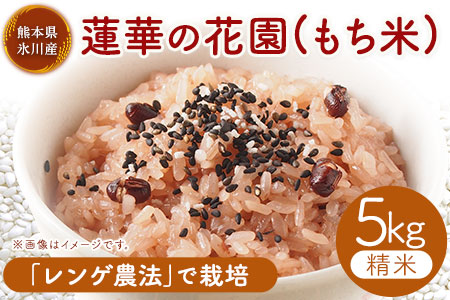 蓮華の花園(もち米) 5kg 精米 JAやつしろカントリー利用組合 熊本県 氷川町《30日以内に出荷予定(土日祝除く)》