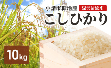 こしひかり 深沢清流米 精米 10kg こしひかり