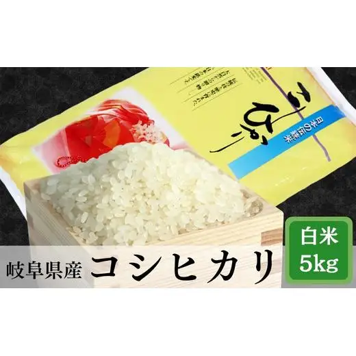 ≪令和7年産≫ 岐阜 コシヒカリ 約5kg