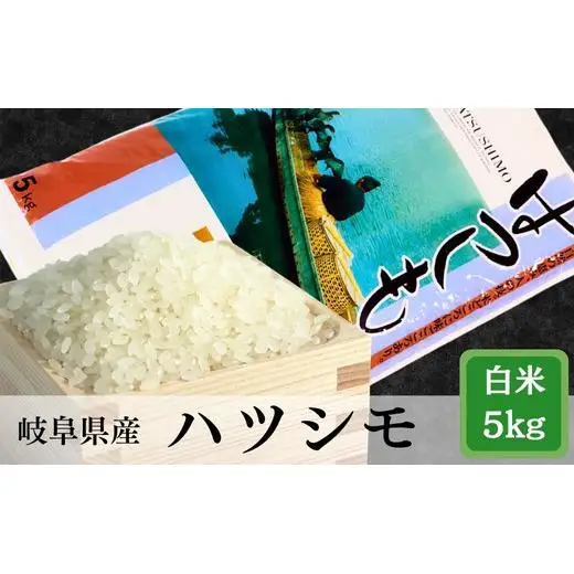 ≪令和7年産≫ 岐阜 ハツシモ 約5kg