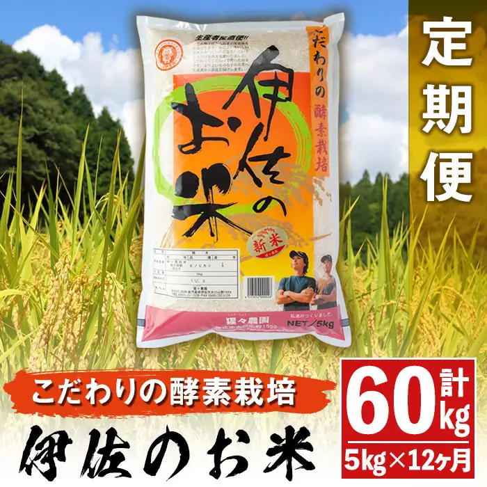 isa313 【定期便】伊佐のお米(5kg×12ヶ月・計60kg) 国産 白米 精米 伊佐米 お米 米 ごはん ご飯 ひのひかり酵素栽培【猩々農園】