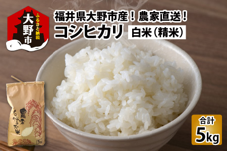 【令和5年産】福井県大野市産 コシヒカリ 白米 精米 5kg 農家直送  [A-013001]