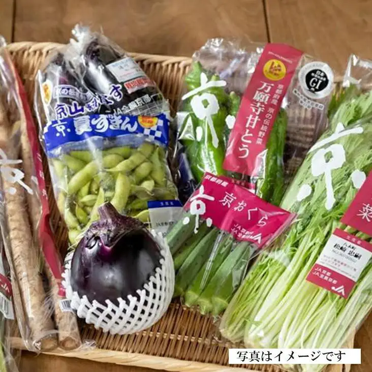 ＜２回　定期便＞【JA全農京都】半年に１回配送！季節の京野菜セット