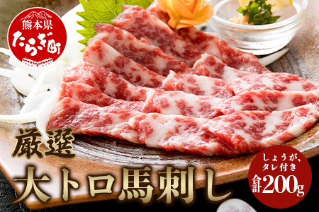 【霜降り】厳選 大トロ 馬刺し 200g ＜ 大トロ 100g×2 / 醤油 生姜 セット ＞ 馬肉 冷凍 熊本馬刺し 熊本馬肉 新鮮馬刺し 贅沢馬刺し 大トロ馬刺し 中トロ馬刺し 馬刺し食べ比べ 霜降り 馬肉 冷凍 030-0233