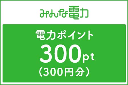 【みんな電力】電力ポイント（300Pt分）