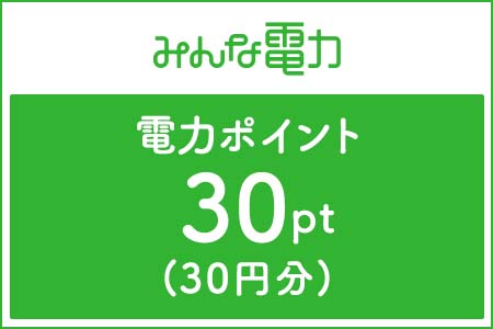 【みんな電力】電力ポイント（30Pt分）