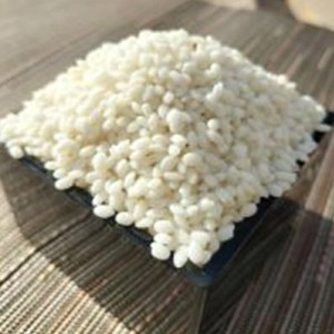 【令和8年産・餅米5kg】五郎兵衛さんのお米　 ＜2026年11月中旬以降順次配送＞ 長野県 信州  新米 こしひかり【 もち米 餅米 五郎兵衛 長野県 佐久市 】
