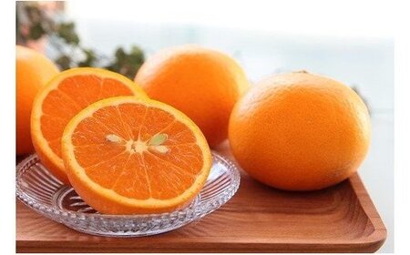 主井農園 清見オレンジ 【訳あり 家庭用】約7kg_ZS6113n