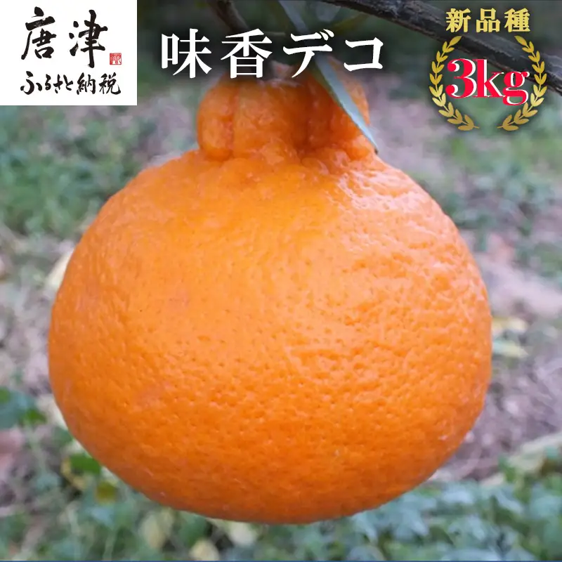 『先行予約』【令和9年3月上旬発送】味香デコ 3kg