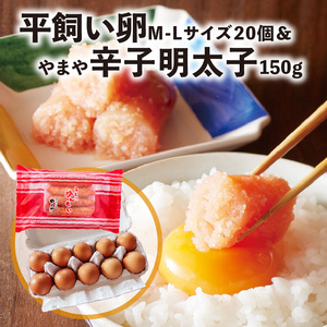 平飼い卵Ｍ～Ｌサイズ20個 ＆やまや辛子明太子150ｇセット【上毛町特別企画】_C01202