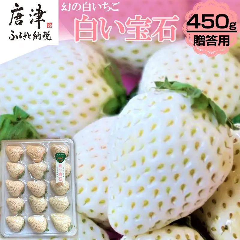 『先行予約』【令和9年2月上旬から4月下旬までにお届け】白い宝石 白いちご 450g 贈答用 いちご イチゴ 苺 フルーツ 果物 希少