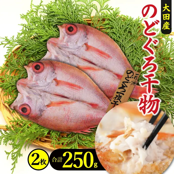低塩熟成製法干物　のどぐろ一夜干し 2枚【合計250g のどぐろ干物 無添加 天日塩 島根県産 大田市 魚介類 魚 高級魚 ノドグロ アカムツ あかむつ 干物 新鮮 冷凍 真空パック 産地直送】