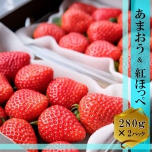 いちごセット あまおう 紅ほっぺ 福田ファーム いちごセット【各1パック(280g×2)】
