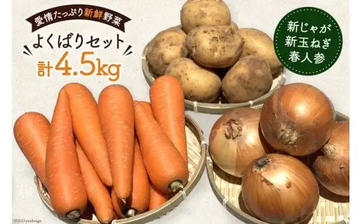 【令和9年度出荷分】BF156 新じゃがいも・新玉ねぎ・春人参のよくばりセット