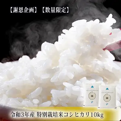 コシヒカリ 米 特別栽培米 秋田県産 コシヒカリ【10kg(5kg×2袋)】