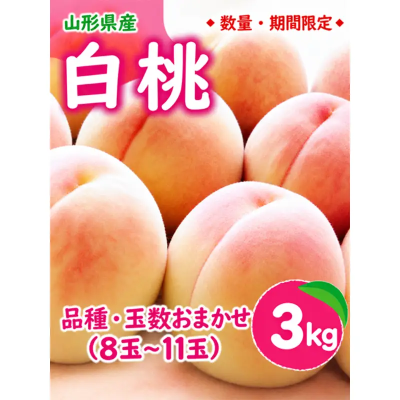 【2027年先行予約】※数量 ・期間限定※ 山形県産白桃 品種 玉数おまかせ 3kg FSY-2402
