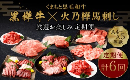 【6回定期便】くまもと黒毛和牛 杉本本店 黒樺牛?火乃樺馬刺し 厳選 お楽しみ 定期便