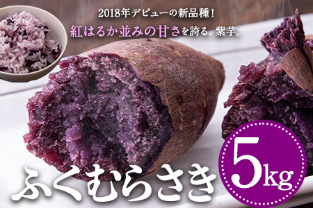 熊本県大津町産 ふくむらさき 5kg《2027年2月上旬-4月下旬頃出荷》 タカハマ観光農園 さつまいも 芋 紫芋 高糖度