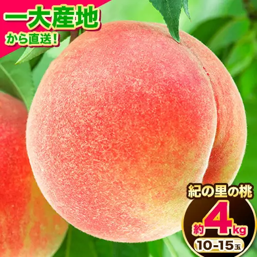 【2027年先行予約】桃 紀の里の 桃 約4kg