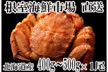 ボイル毛がに400g～500g×1尾 A-11176
