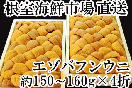 エゾバフンウニ(黄系)約150～160g×4折 E-11015