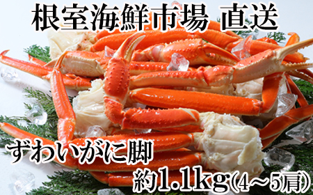 根室海鮮市場[直送]ずわいがに脚1.1kg(4～5肩) B-28049