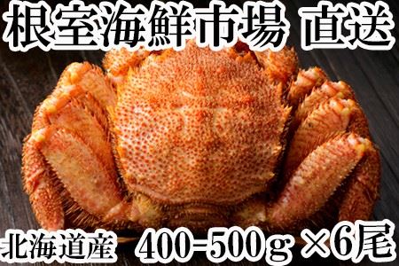 根室海鮮市場[直送]ボイル毛がに400g～500g×6尾 D-28025