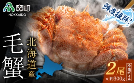 北海道産 冷凍ボイル毛ガニ 300g前後×2尾 ＜海鮮問屋　株式会社　瑞宝＞ かに カニ 蟹 ガニ がに 森町 ふるさと納税 北海道 毛蟹 毛かに 毛ガニ 毛カニ mr1-1466
