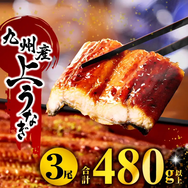 うなぎ 蒲焼 うなぎ[国産 3尾 計480g以上]