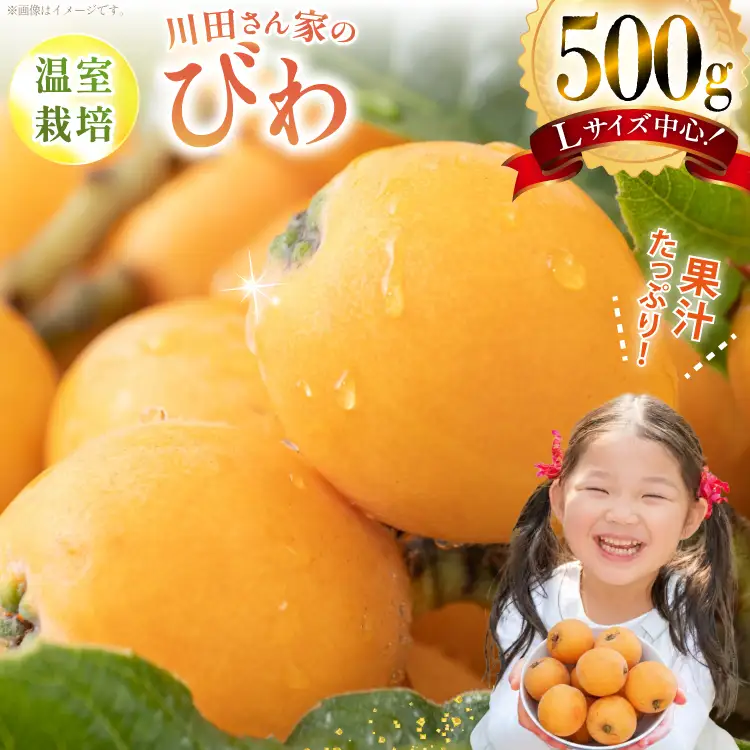 AF220【令和9年度出荷分】びわ 果汁たっぷり！川田さん家の温室栽培びわ 500g