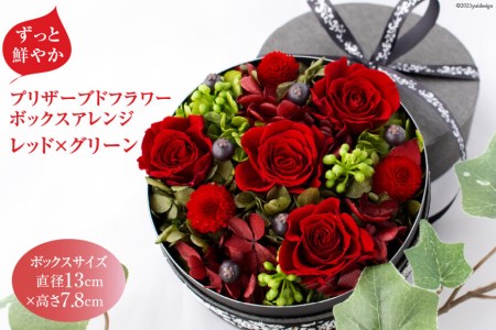 ※廃番※【ずっと鮮やか】プリザーブドフラワー  ボックスアレンジ  レッド×グリーン  フラワーボックス[mirccamircca 長野県 池田町 ]