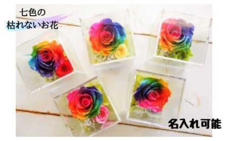 メッセージ刻印 プリザーブドフラワー レインボーローズ クリアボックス 5色