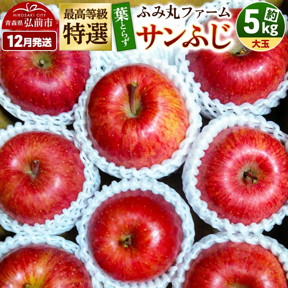 【26年12月発送】りんご サンふじ【贈答用】約5kg 最高等級「特選」大玉 葉とらず 糖度14度以上