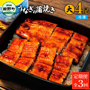 うなぎの蒲焼き(大) 4尾×3回 定期便 3ヶ月 定期コース タレ付き 山椒付き