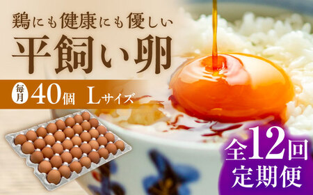 【 全12回 定期便 】 こだわり の 卵 「 天上卵 」 40個 セット 糸島市 / 糸島ファームハウスUOVO [AKH008]