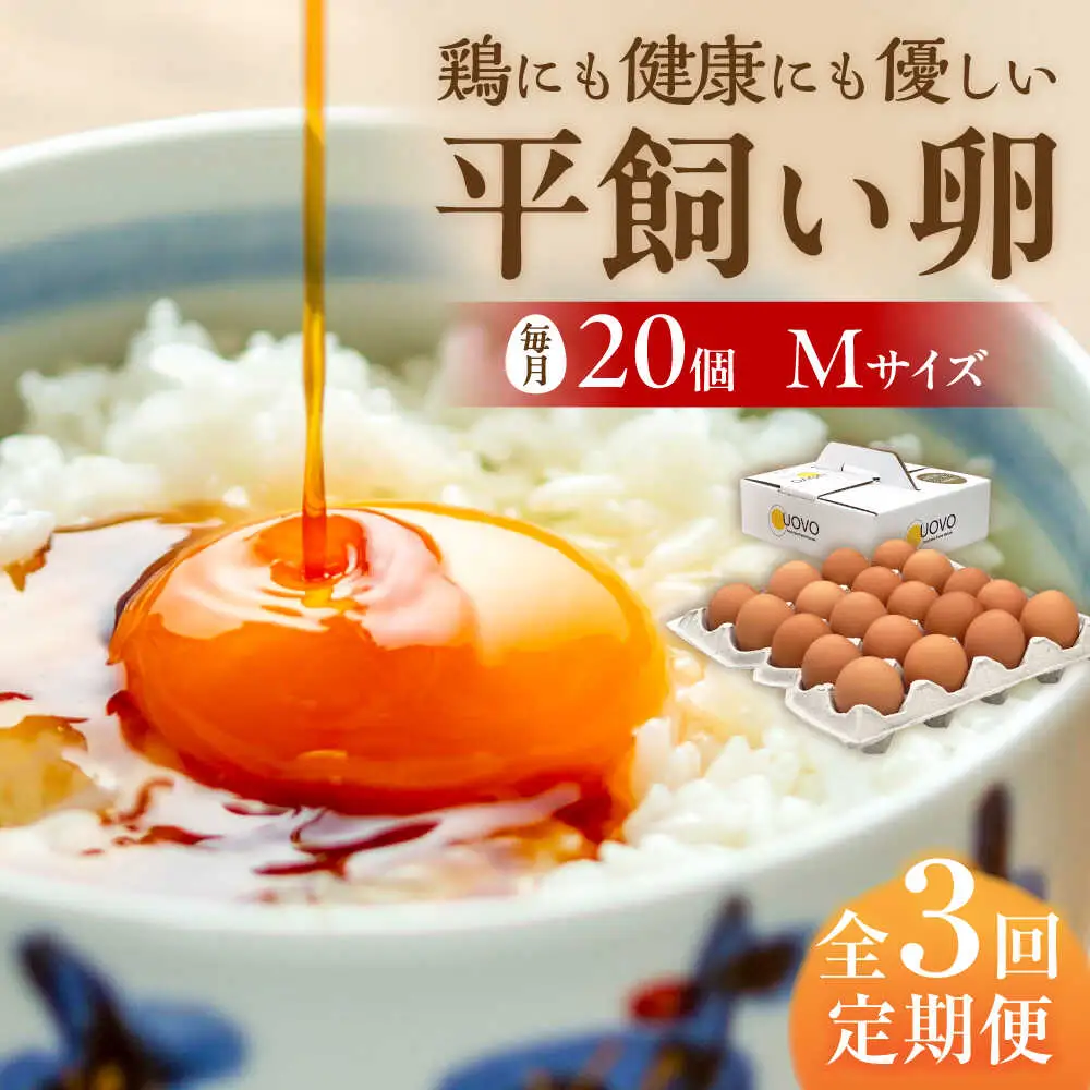 【 全3回 定期便 】  平飼い 卵  「 天上卵 」 20個 セット 糸島市 / 糸島ファームハウスUOVO [AKH002]
