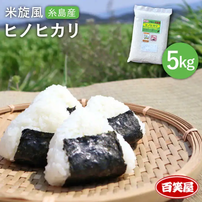 【 栽培期間中農薬不使用 】米 旋風 ヒノヒカリ 5kg 《糸島》【百笑屋】 [ABF003]   米 お米 白米 精米 ひのひかり