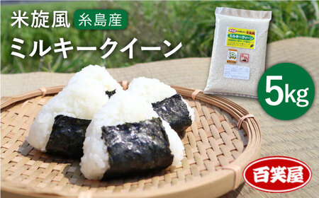  【 栽培期間中農薬不使用 】米 旋風 ミルキークイーン 5kg《糸島》 【百笑屋】 [ABF001] 米 お米 白米 精米