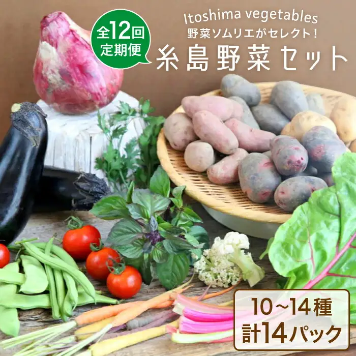 【全12回定期便】旬を味わう 糸島 野菜 セット 10?14種 （14パック） / イタリア野菜 オーガニック 野菜ソムリエ 松永 糸島市 / vegeLabo [AJB003]
