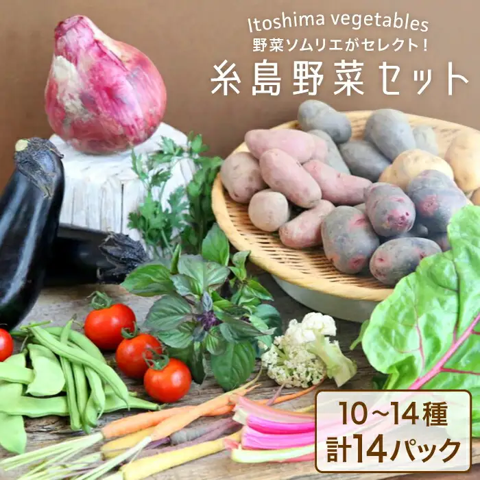 旬を味わう 糸島 野菜 セット 10?14種（計14パック） / イタリア野菜 オーガニック 野菜ソムリエ 松永《糸島》【vegeLabo】[AJB001]