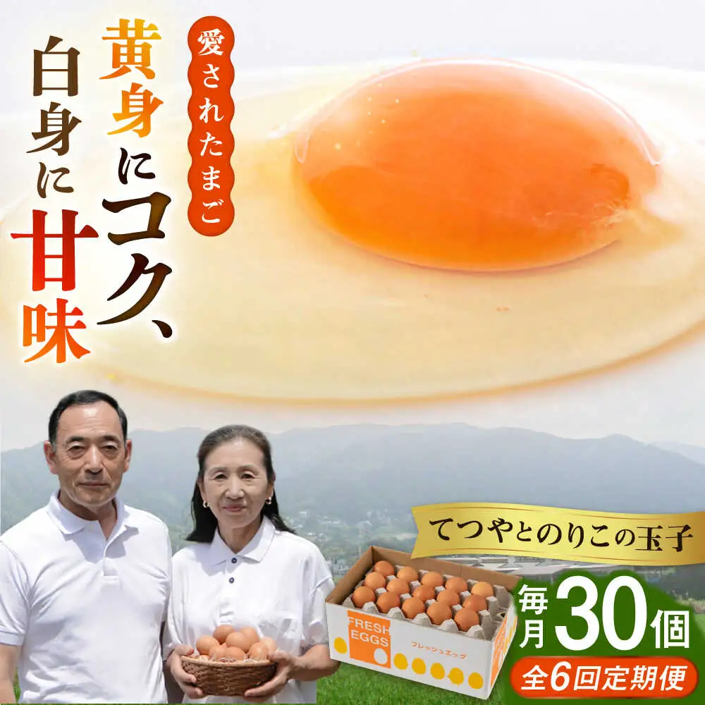 【全6回定期便】卵 30個×6ヶ月 てつやとのりこの玉子 卵 たまご [AWD009]