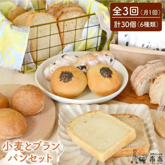 【 全3回 定期便 】栽培期間 農薬 科学肥料 不使用 小麦 と ブラン の パン セット ( 卵 / 乳製品 不使用 )《糸島》【天然パン工房楽楽】【いとしまごころ】[AVC018]