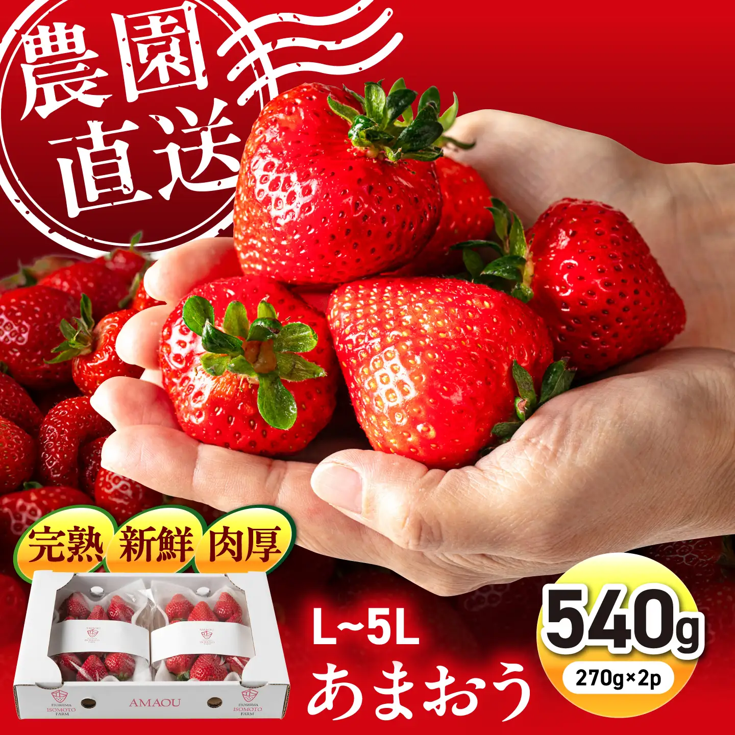 あまおう【2027年1〜2月配送】糸島のあまおう 270g×2パック [ATB003] いちご 果物