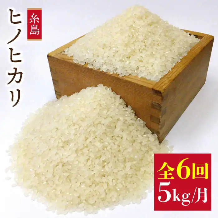 【全6回定期便】 ヒノヒカリ 5kg  福吉産 お米 栽培期間農薬不使用 糸島 / 二丈赤米産直センター [ABB012] ひのひかり 米