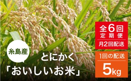 【全6回（月2回）定期便】とにかくおいしいお米 夢つくし 5kg 糸島市 シーブ [AHC022] 米 定期便