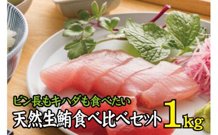 天然生まぐろ食べ比べセット 1kg　キハダ（もしくはメバチ）＋びん長まぐろのセット / 生鮪 鮪 マグロ 生まぐろ キハダマグロ ビンチョウマグロ 刺身【tka016A】