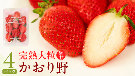 《 2027年 収穫分 》 完熟 かおり野 260g×4パック KEK 国産 いちご イチゴ 苺 くだもの 果物 フルーツ 冬 春 旬 [BC032sa]