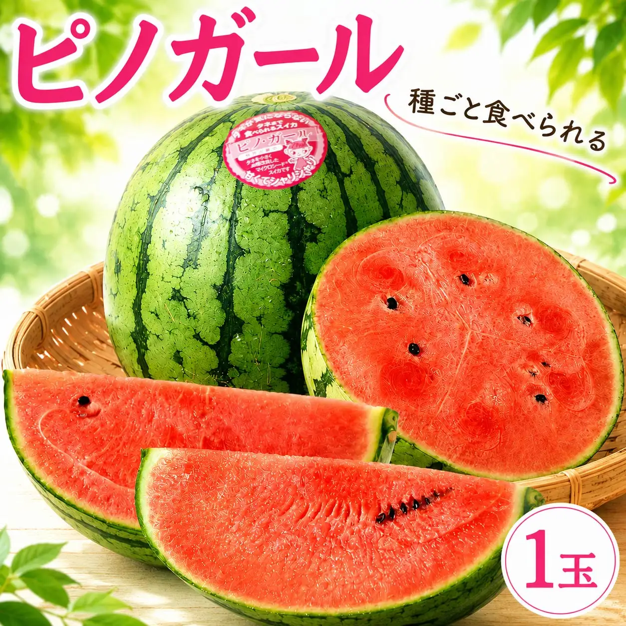 【2027年先行受付】 こだますいか 「 ピノ・ガール 」 1玉 すいか