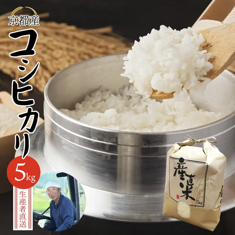 【令和7年度産】 コシヒカリ 5kg 精米 白米 こしひかり お米