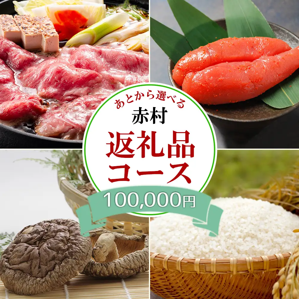 あとから選べる返礼品【１０万円コース】